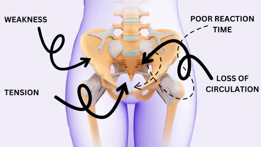 Sistema Buff Muff – Reentrenamiento Inteligente del Suelo Pélvico™